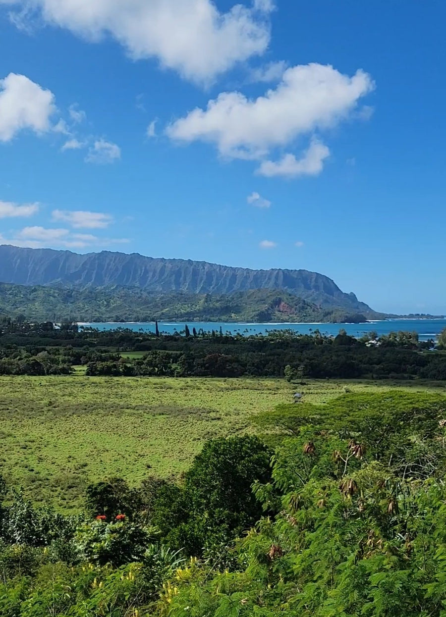 Hanalei valley and bay on Kauaʻi